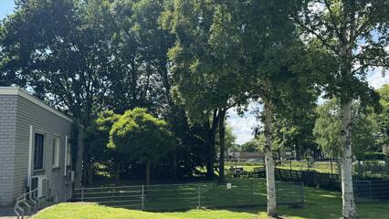 Gallery item van Hei-Grindelweg 82 , Heerlen